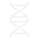 Image of a dna double helix