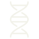 Image of a dna double helix