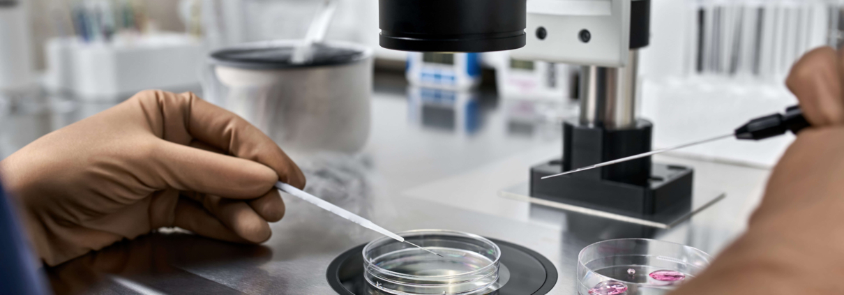 A specialist in brown latex gloves checks on eggs from egg retrieval in a petri dish.