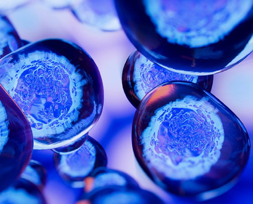 A 3D illustration of glowing blue and pink embryonic stem cells clustered together against a dark background.